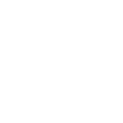 Facebook Icon.