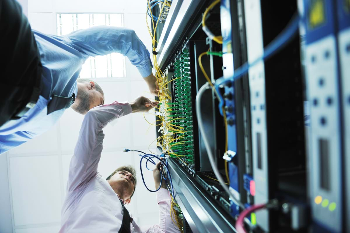 Business people working on a server