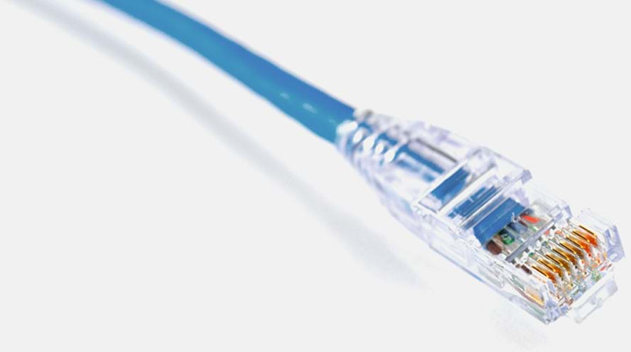 Close up of a blue Ethernet cable with a transparent plastic head